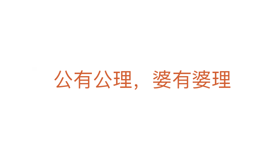 公有公理，婆有婆理