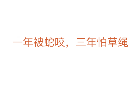 一年被蛇咬，三年怕草繩