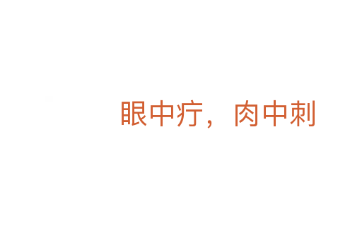 眼中疔，肉中刺