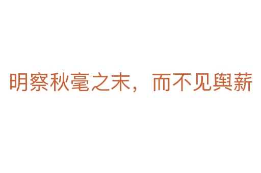 明察秋毫之末，而不見輿薪