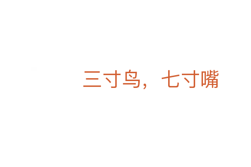 三寸鳥，七寸嘴