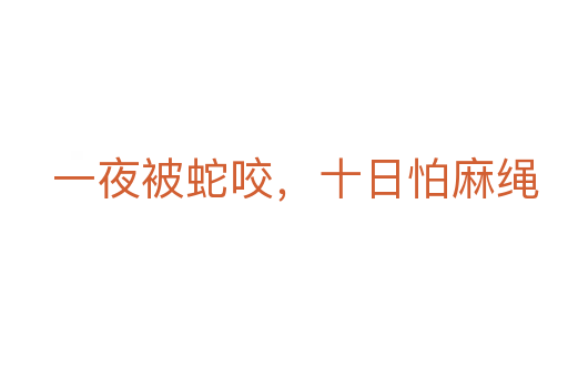 一夜被蛇咬，十日怕麻繩