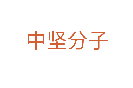 中堅(jiān)分子