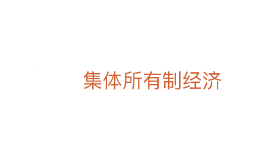 集體所有制經(jīng)濟(jì)