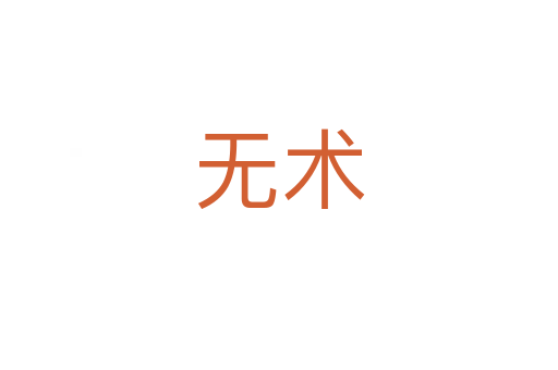 無(wú)術(shù)